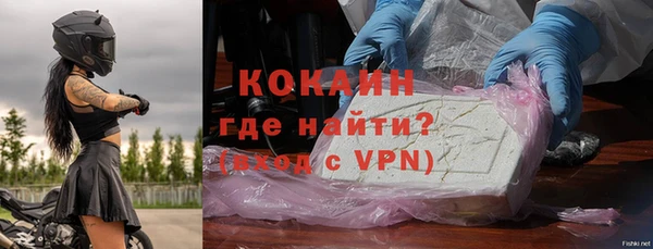 гашик Нея