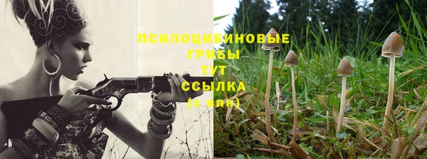 альфа пвп Нефтегорск
