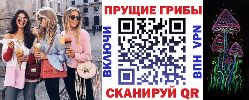 Купить где  Горячеводский  Галлюциногенные грибы мицелий 